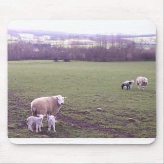 Sheep Mouse Pad