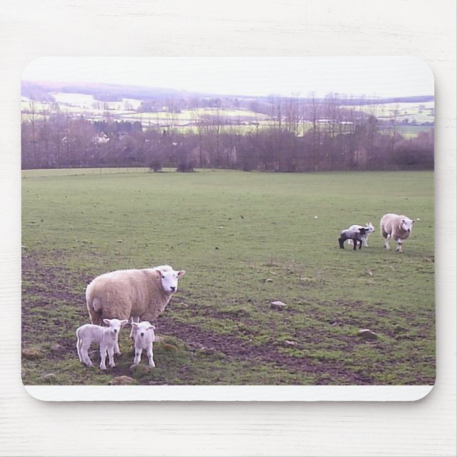 Sheep Mouse Pad (Front)