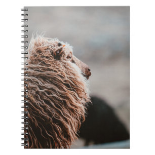 SHEEP NOTEBOOK