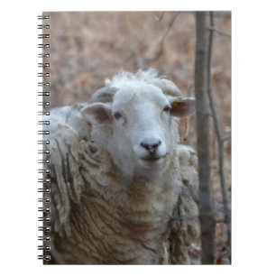 Sheep Notebook
