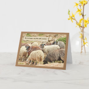 Sheep/ "Oh, Look, City Folks With Cameras"/HUMOR Card