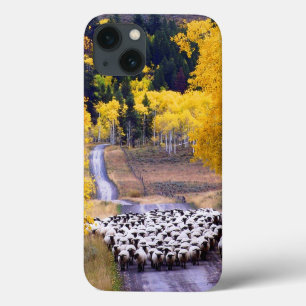 Sheep on Country Road iPhone 13 Case