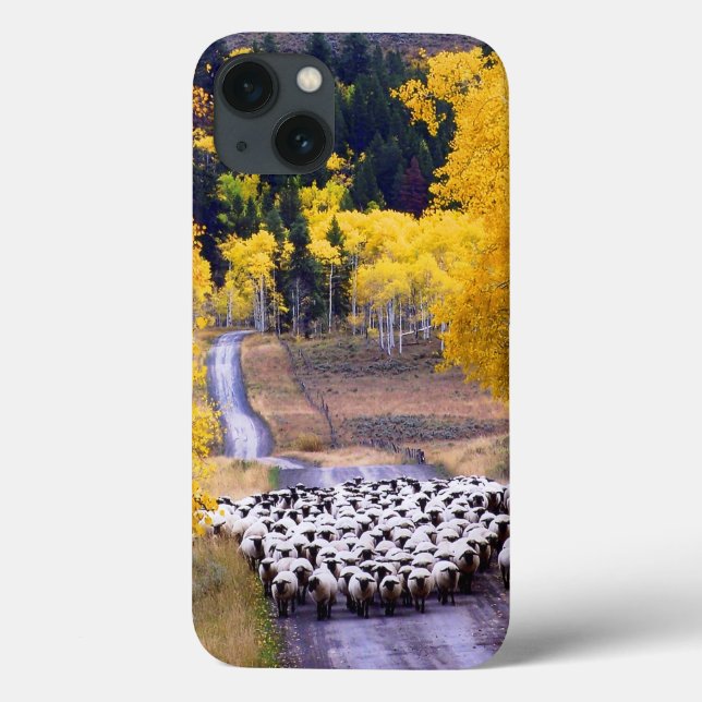 Sheep on Country Road Case-Mate iPhone Case (Back)