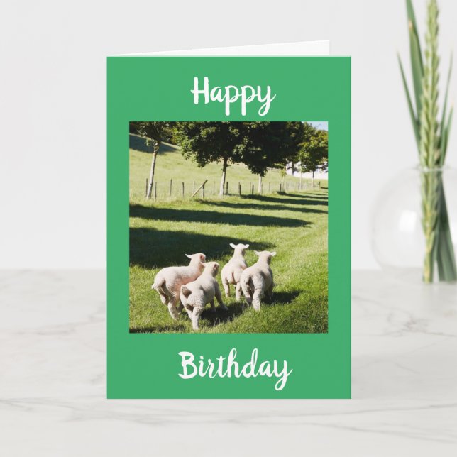 SHEEP ON THE FUN SAY **HAPPY BIRTHDAY" CARD (Front)