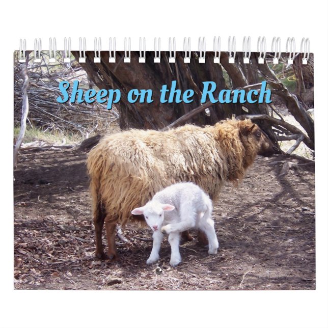 Sheep On The Ranch Calendar (Cover)