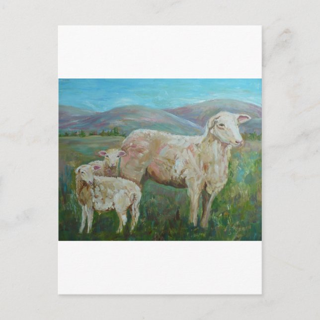 Sheep painting postcard (Front)