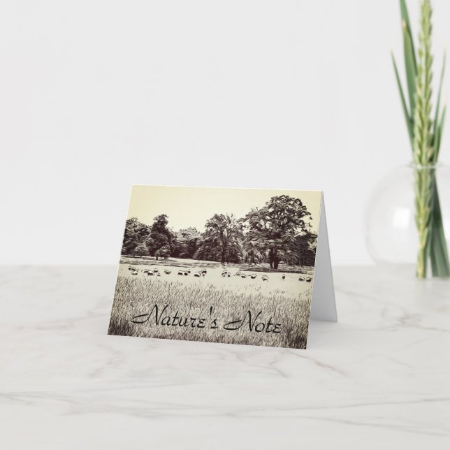 SHEEP PASTURE TALL GRASS PHOTO NOTE CARD (Front)
