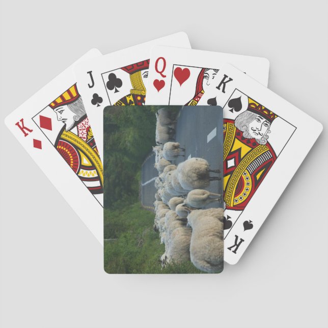 Sheep Playing cards (Back)