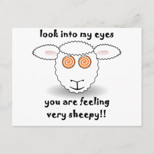 sheep postcard