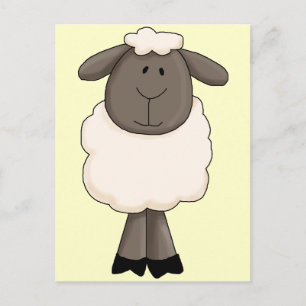 Sheep Postcard