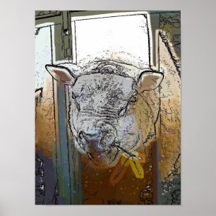 SHEEP POSTER