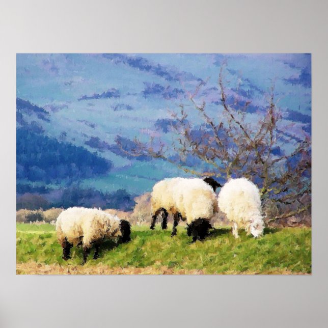 SHEEP POSTER (Front)