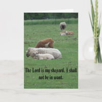 Sheep, Psalm, Peace, Joy, Love