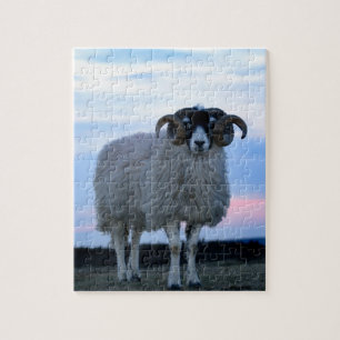 Sheep Puzzle/Jigsaw with Tin Jigsaw Puzzle