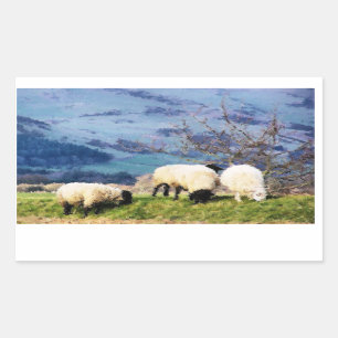 SHEEP RECTANGULAR STICKER