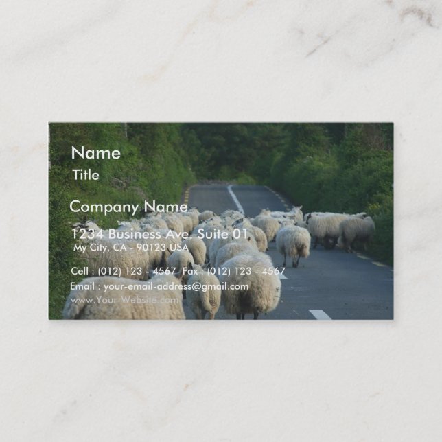 Sheep Roads Lambs Business Card (Front)