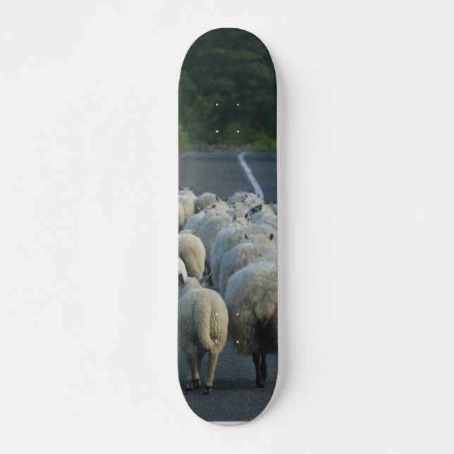 Sheep Roads Lambs Skateboard (Front)