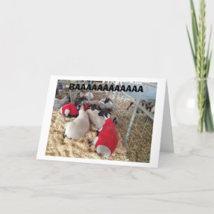 SHEEP SAY IT IN THEIR "OWN WAY" HAPPY BIRTHDAY CARD