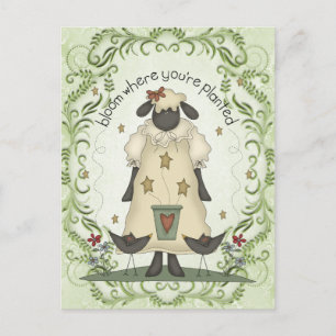 Sheep sentiment fun cartoon postcard