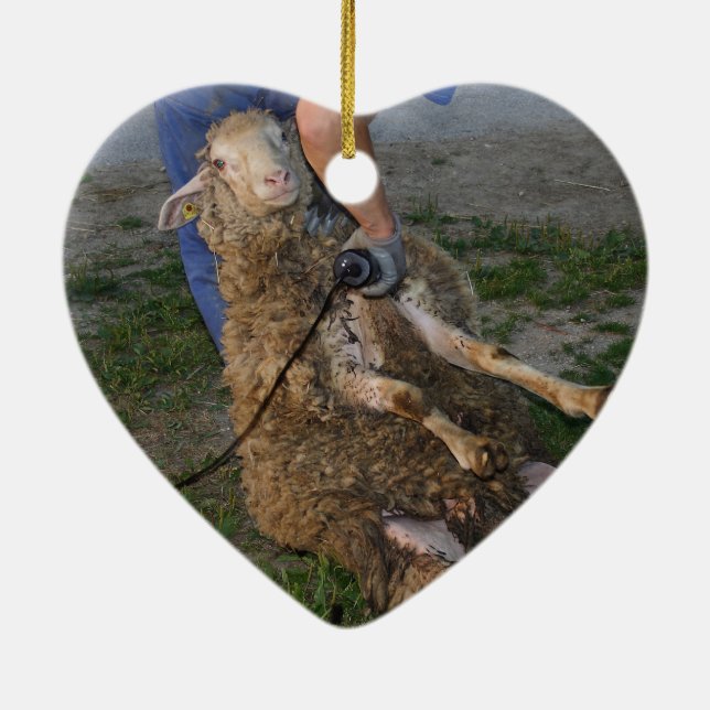 Sheep Shearing Ceramic Tree Decoration (Back)