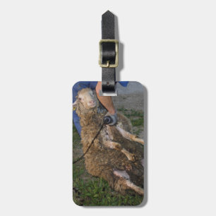 Sheep Shearing Luggage Tag