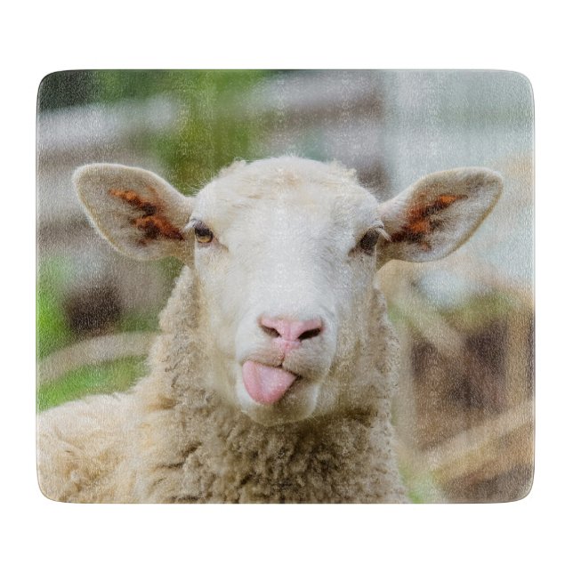Sheep show tongue cutting board (Front)