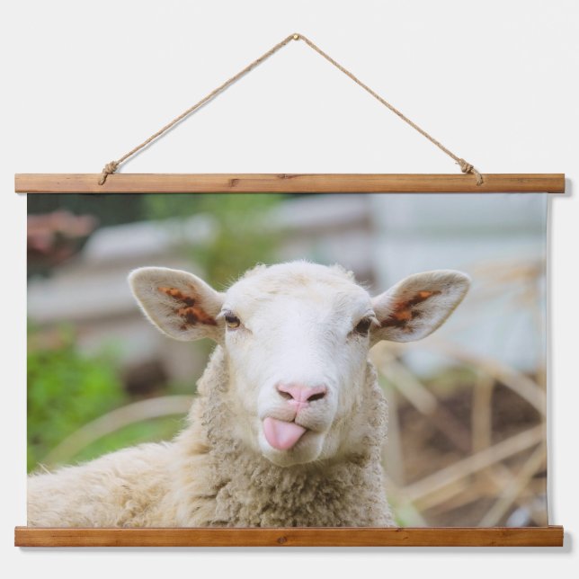 Sheep show tongue hanging tapestry (Front)