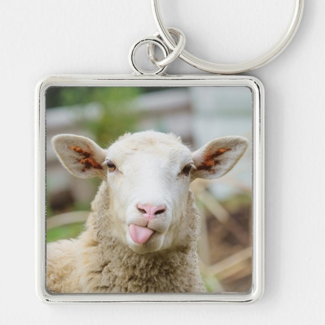 Sheep show tongue key ring (Front)