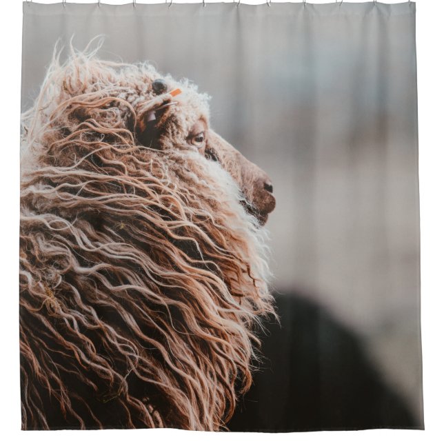SHEEP SHOWER CURTAIN (Front)