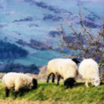 SHEEP SILVER PLATED NECKLACE<br><div class="desc">A beautiful digital oil painting of sheep, some of the hard working farm girls. Wales UK.</div>