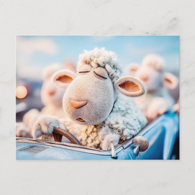 Sheep sleeping at car steering wheel illustration holiday postcard (Front)