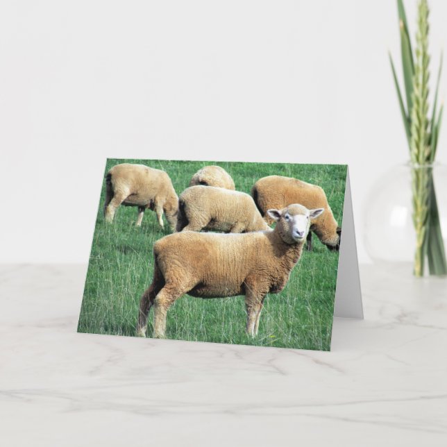 sheep smile card (Front)