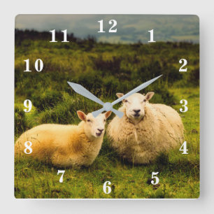 Sheep Square Wall Clock