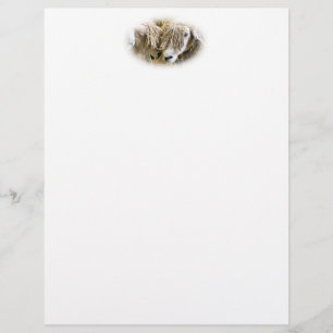 SHEEP stationery