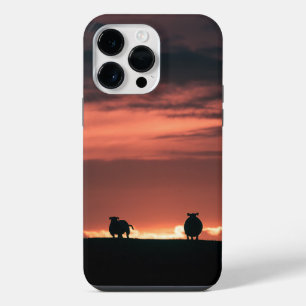 Sheep Sunset Nature Photo iPhone 14 Pro Max Case