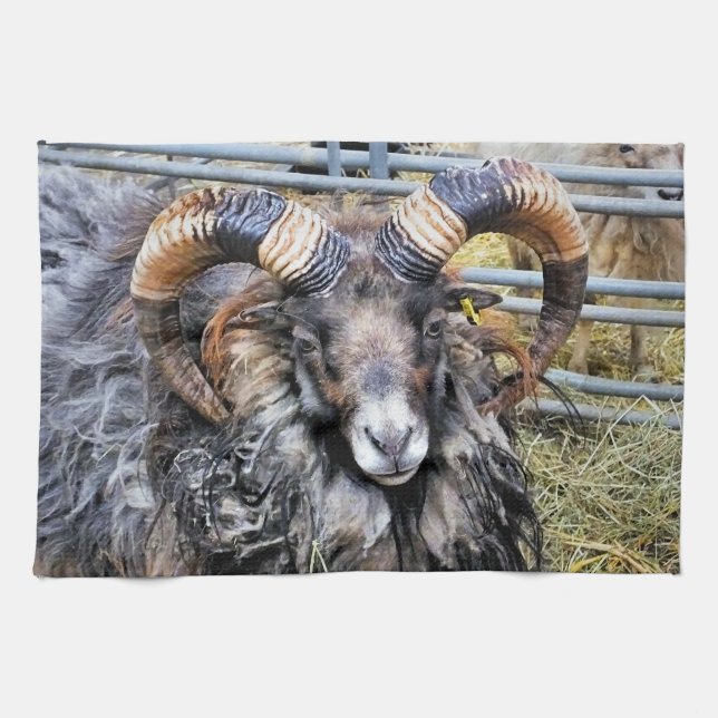 SHEEP TEA TOWEL (Horizontal)