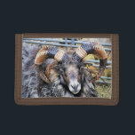 SHEEP TRIFOLD WALLET<br><div class="desc">A photographic design of a beautiful ram sheep with magnificent horns.</div>