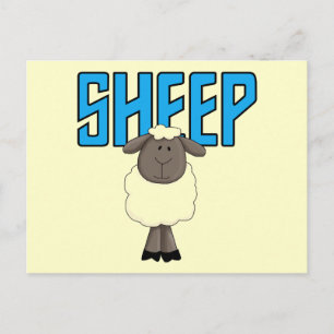 Sheep Tshirts and Gifts Postcard