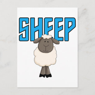 Sheep Tshirts and Gifts Postcard