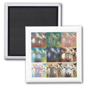 Sheep With Filters Collage Magnet