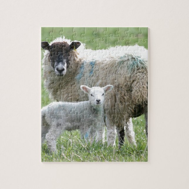 Sheep with her lamb jigsaw puzzle (Vertical)