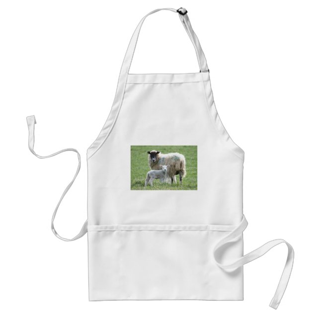Sheep with her lamb standard apron (Front)