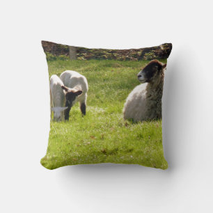 Sheep With Lambs Cushion