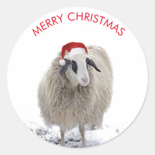 SHEEP WITH Santa hat CUSTOMIZABLE STICKERS