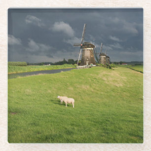 Sheep with windmills under dark clouds glass coaster