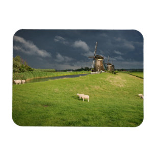 Sheep with windmills under dark clouds magnet