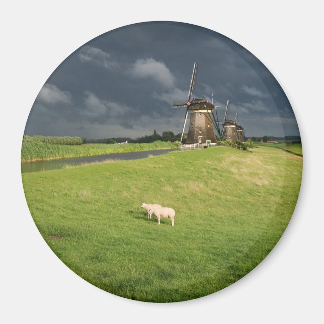 Sheep with windmills under dark clouds magnet (Front)