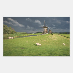 Sheep with windmills under dark clouds rectangular sticker