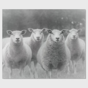 Sheep Wrapping Paper