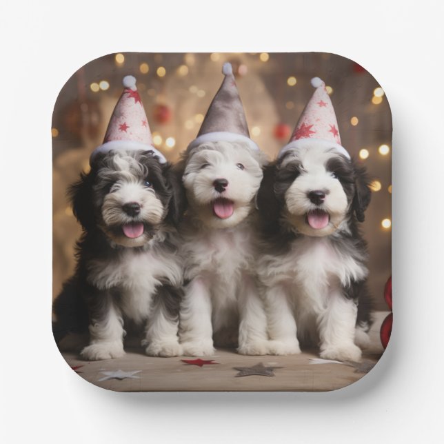 Sheepadoodle Puppy Celebration Plates (Front)